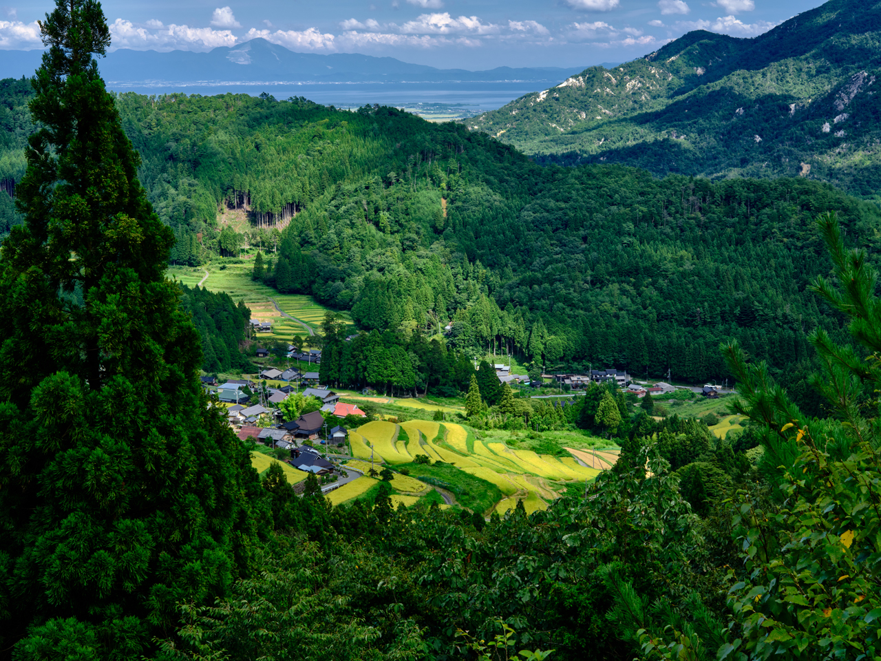 �����̐���